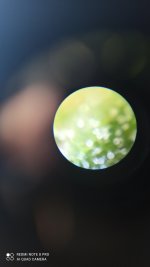 IMG_20201203_130909.jpg