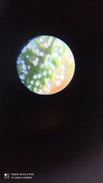 IMG_20201203_131110.jpg