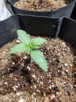 20201203_223946.jpg