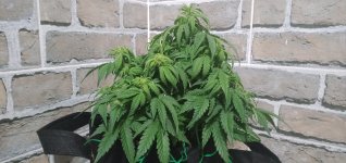 IMG20201204135502.jpg