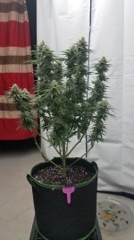 20201203_192046.jpg