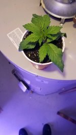 20201205_153055.jpg