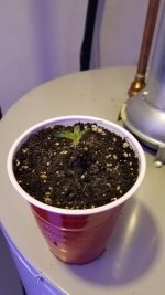 20201205_153017.jpg