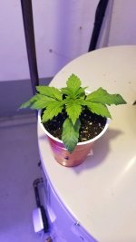 20201205_153113.jpg
