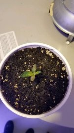20201205_153037.jpg