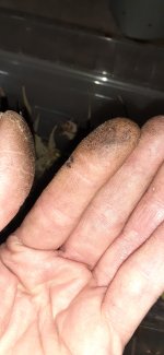 20201205_192551.jpg