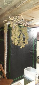20201206_010710.jpg