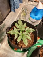 20201213_005107.jpg