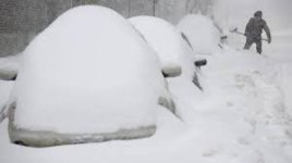 photo125797.jpg