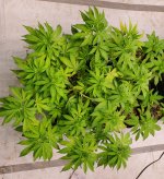20201215_231057.jpg
