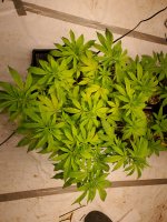 20201215_231757.jpg