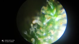 IMG_20201216_145517.jpg