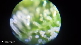 IMG_20201216_145621.jpg