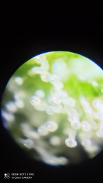 IMG_20201216_145808.jpg