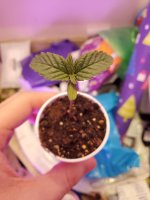 20201222_231751.jpg