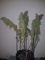 20201222_090951.jpg