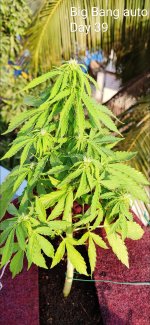 IMG_20201223_230810.jpg