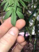 8AEA4979-DD09-4517-86D9-C9AD003E5020.jpeg