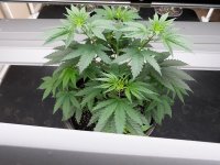 20201227_100427.jpg