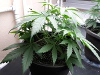 20201227_100446.jpg