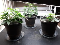 20201227_100505.jpg