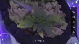 24DF75F3-69A4-48EC-8EF9-04785F6EF9A9.png