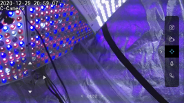 6ED9278D-4913-40BC-97E5-23773424F2CB.png