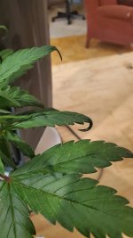 20201229_220319.jpg