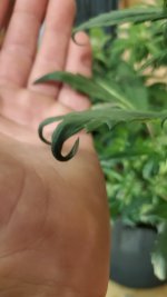 20201229_220357.jpg