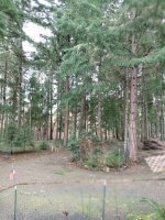 photo127338.jpg