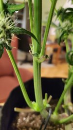 20210102_180249.jpg