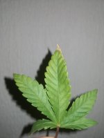 IMG_20210112_165610.jpg