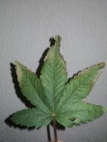 IMG_20210112_165624.jpg