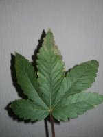 IMG_20210112_165616.jpg