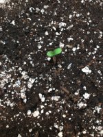 photo128823.jpg