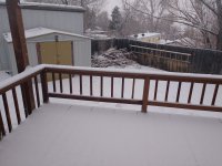IMG_20210203_165936506.jpg