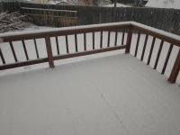IMG_20210203_165942498.jpg