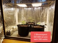 Grow Journal - Cabinet operational.jpeg