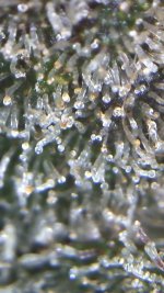 F83DC231-54F9-4831-A3DE-3BCE2698AF50.jpeg