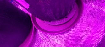 20210212_121946.jpg