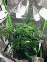 IMG_0678.jpeg