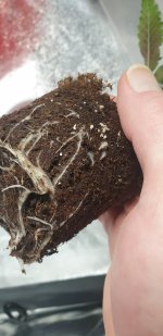 photo132506.jpg