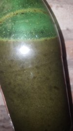 20210122_233149.jpg