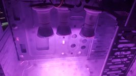 20210125_040632.jpg