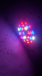 20210125_030645.jpg