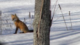 DSCN5076.JPG