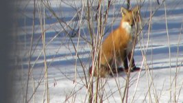 DSCN5077.JPG