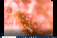 photo133326.png