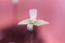 IMG_0357.JPG