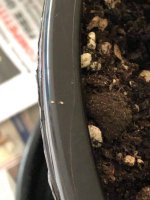 photo134531.jpg